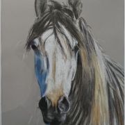 Portret konia 12 - pastel, papier -39x29