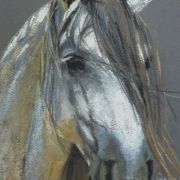 Portret konia 1 - pastel, papier - 32x18