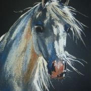 Portret konia 2 - pastel, papier - 29x21