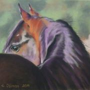 Portret konia - pastel, papier - 30x34