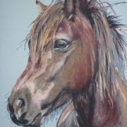 Portret konia 5 - pastel, papier - 37x30